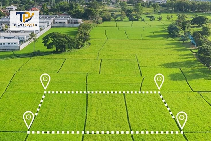 Trichy Plots - Company Overview